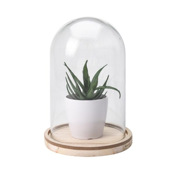 Artificial Plant In Glass Dome Bell Jar With Small Wooden Base