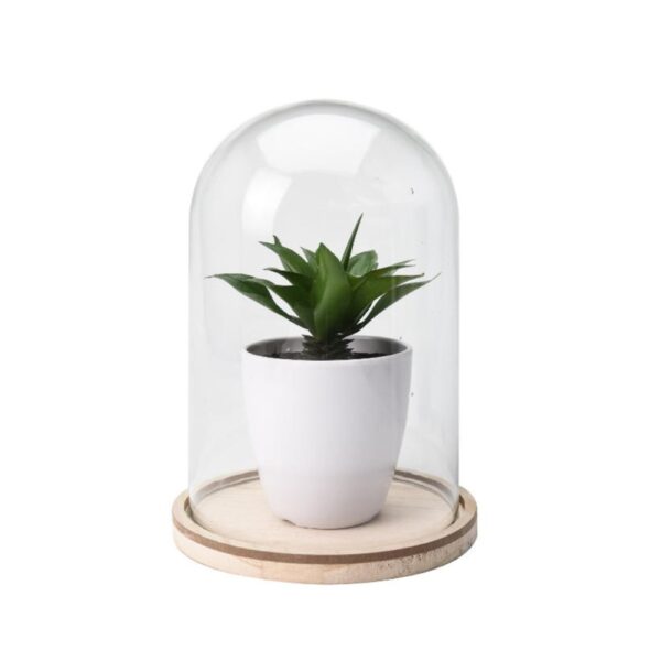 Artificial Plant In Glass Dome Bell Jar With Large Wooden Base