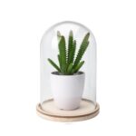 Artificial Plant In Glass Dome Bell Jar With Large Wooden Base