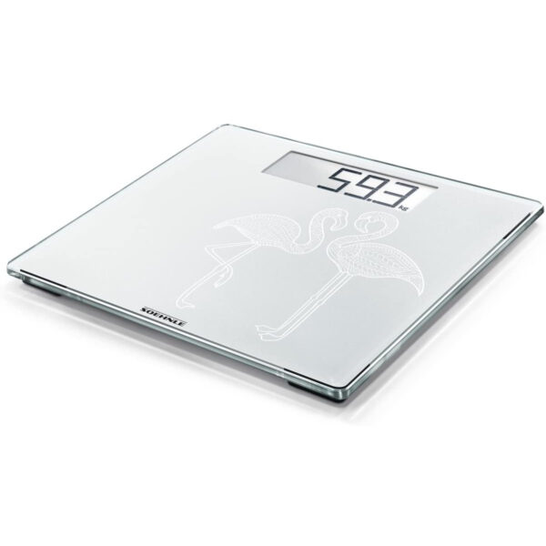 Bath Scale  Frosted 180Kg