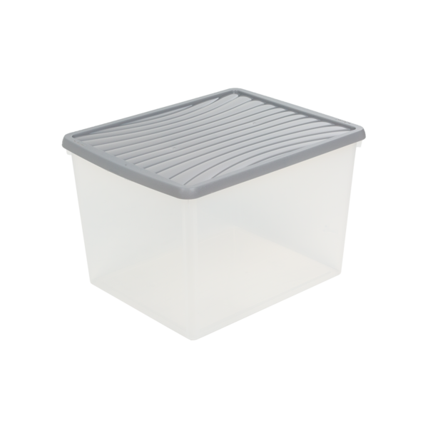 Box &Amp; Lid 50L Archive Clear/Steel Color