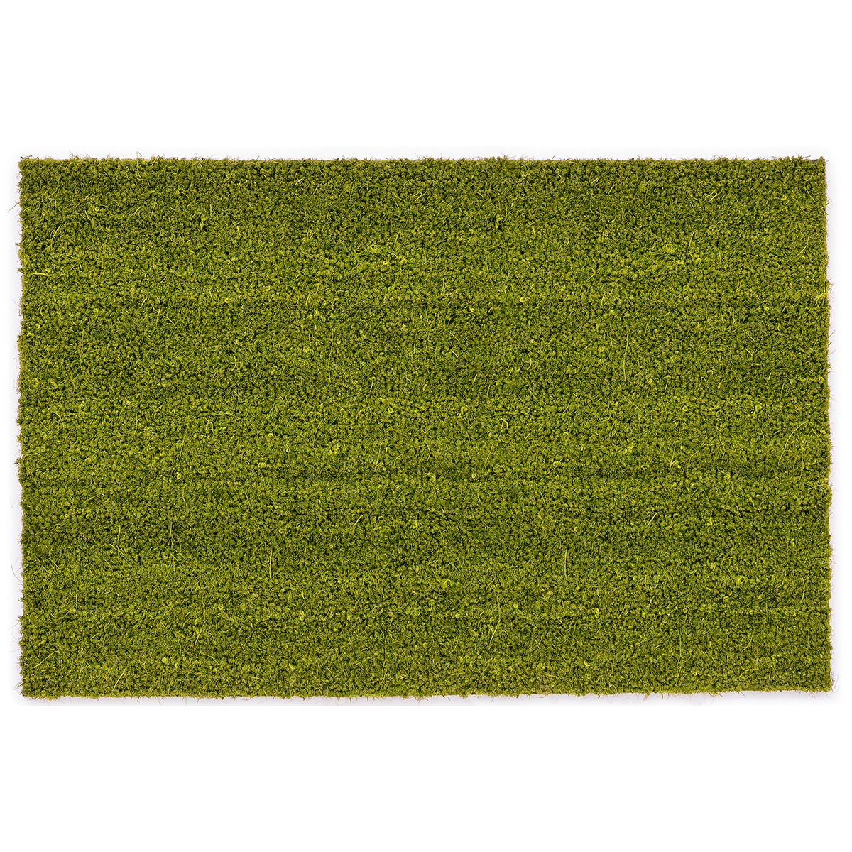 OGS-385_1 Door Mat With Vinyl Coating Green - Image 1