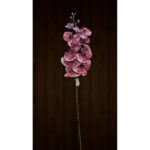 Single Touch Orchid Mix Colours
