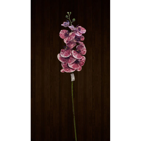 Single Touch Orchid Mix Colours