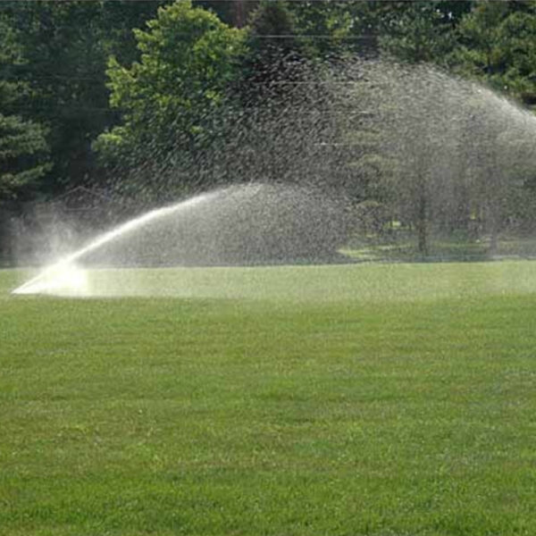 Garden Water Sprinkler Pp