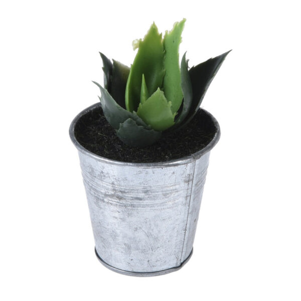 Plant In Zinc Pot 9.11 Cm