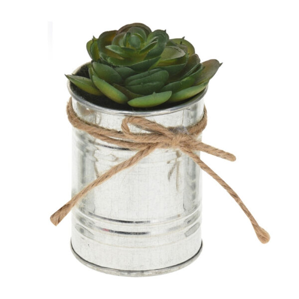 Plant In Zinc Pot With Rope 7X7X12 Cm