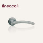 Door Handle On Rose