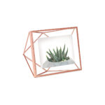 Prisma Photo Frame 4X4 Copper