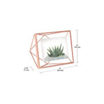 Prisma Photo Frame 4X4 Copper - Image 3