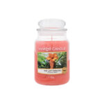 The Last Paradise 623 Gram