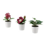 Artifi Potted Plant With Pot Set Of 3 Fejka 6Cm