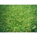 Realistic Grass Mat Synthetic Finished 35" X 23" - Image 2