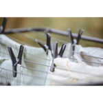 Clothes Pegs Bolt Set Of 24 Black - Image 3