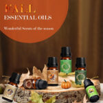 Premium Essential Oil Set for Diffuser & Candle Making (Pack of 6) - Image 2