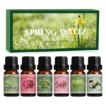 HOLDMAY Spring Waltz – Premium Fragrance Oils Set