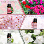 HOLDMAY Spring Waltz – Premium Fragrance Oils Set - Image 5