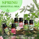 HOLDMAY Spring Waltz – Premium Fragrance Oils Set - Image 2