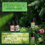 HOLDMAY Spring Waltz – Premium Fragrance Oils Set - Image 4