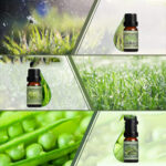 HOLDMAY Spring Waltz – Premium Fragrance Oils Set - Image 7
