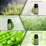 HOLDMAY Spring Waltz – Premium Fragrance Oils Set - Image 3