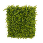Wall Panel Artificial Plant 60 cm x 40 cm – Simulation of Great Eupos Lawn