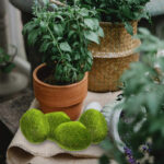 Artificial Moss Stones for Decoration – Set of 8 - Image 3