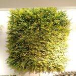 Wall Panel Artificial Plant 60 cm x 40 cm – Simulation of Great Eupos Lawn - Image 3