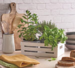 Cassetta Cucina 5L Bianca - Image 3