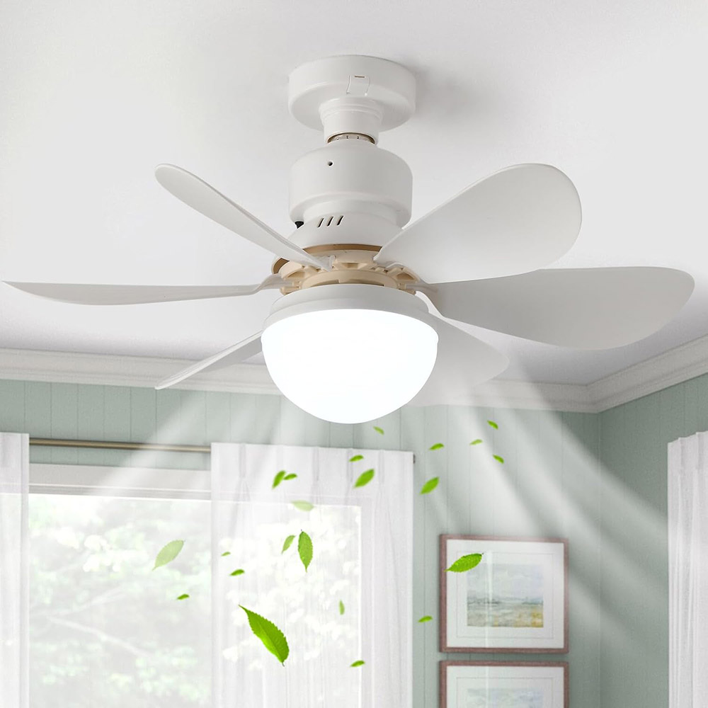 61-cLmd8gKL._AC_SL1500_ Fan with LED Light & Remote Control - 42 cm - Image 1