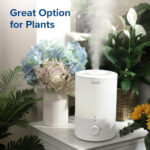 Dual 150 Ultrasonic Cool Mist Humidifier White - Image 6