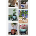 Round Plastic Plant Caddy with Wheels  39 cm  – Grey - Image 2