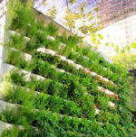 Wall-Mounted Self-Watering Flower Pot – White - Image 4