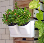 Wall-Mounted Self-Watering Flower Pot – White - Image 2