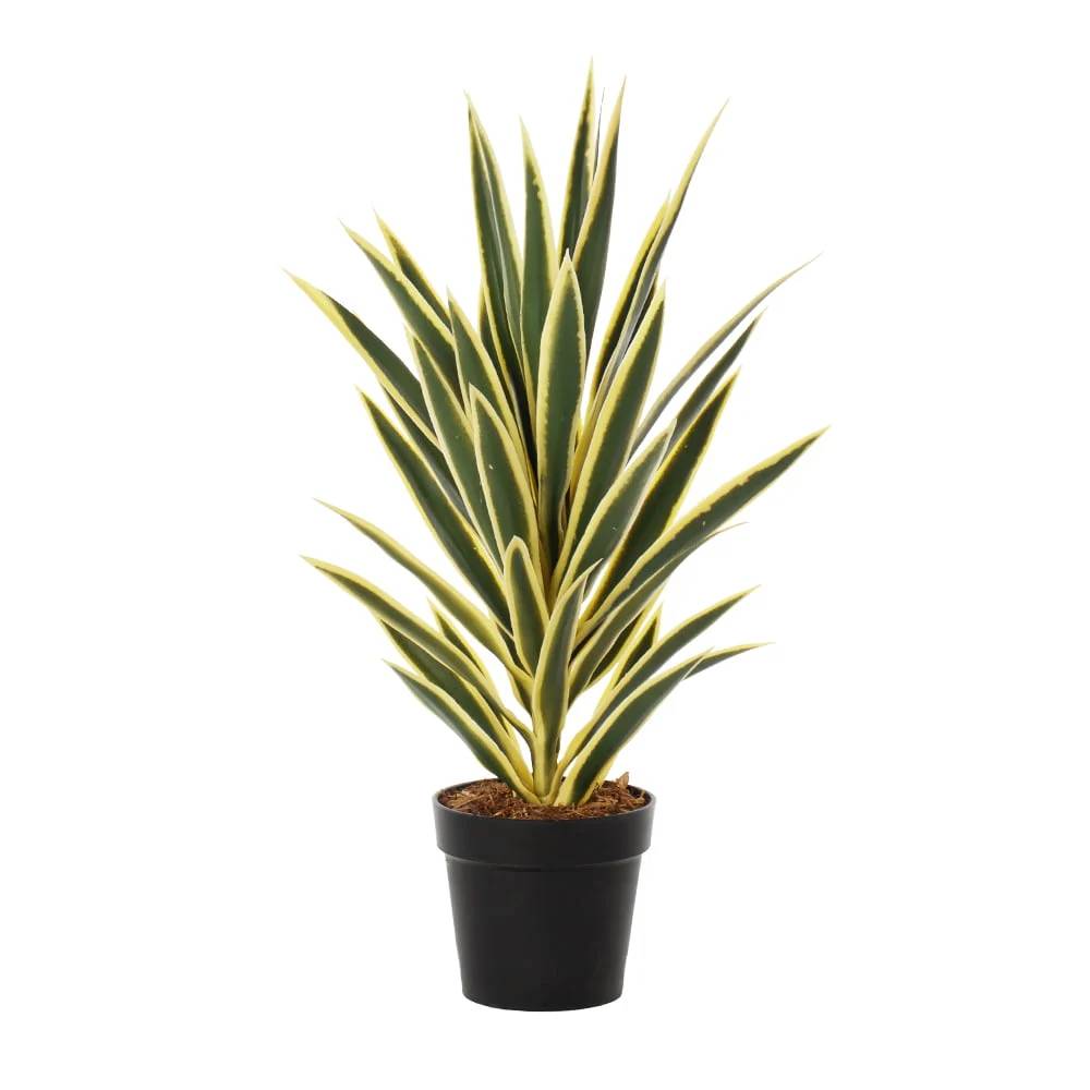 OSM-2034-1 Artificial Variegated Yucca Plant Yellow-Edge Leaves with Pot (Plastic) - Image 1