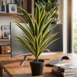 Artificial Variegated Yucca Plant Yellow-Edge Leaves with Pot (Plastic) - Image 3