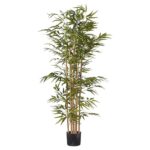 1107 Leaf Golden Bamboo 7 Pole Bonsai (Bamboo)