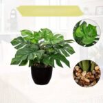 Artificial Monstera Deliciosa Plant (Swiss Cheese Plant Style) - Image 2