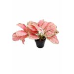Dekordom Cvet u Saksiji – Pink Aglaonema