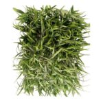 Wall Panel Artificial Plant 60 cm x 40 cm – Mondo Grass