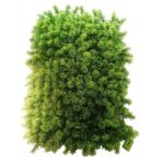 Wall Panel Artificial Plant 60 cm x 40 cm – Alpine Moss