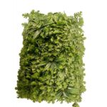 Wall Panel Artificial Plant 60 cm x 40 cm – Eucalyptus