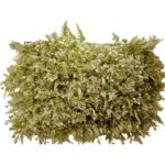 Wall Panel Artificial Plant 60 cm x 40 cm – Persian Fern