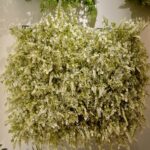 Wall Panel Artificial Plant 60 cm x 40 cm – Persian Fern - Image 2