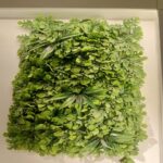 Wall Panel Artificial Plant 60 cm x 40 cm – Eucalyptus - Image 2
