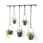 Triflora Hanging Planter Set Of 5 Black