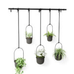 Triflora Hanging Planter Set Of 5 Black - Image 2