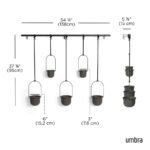 Triflora Hanging Planter Set Of 5 Black - Image 4