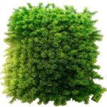 Wall Panel Artificial Plant 60 cm x 40 cm – Alpine Moss - Image 2