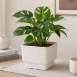 Ribbed Design Flower Pot - White (PP Plastic) - Image 3